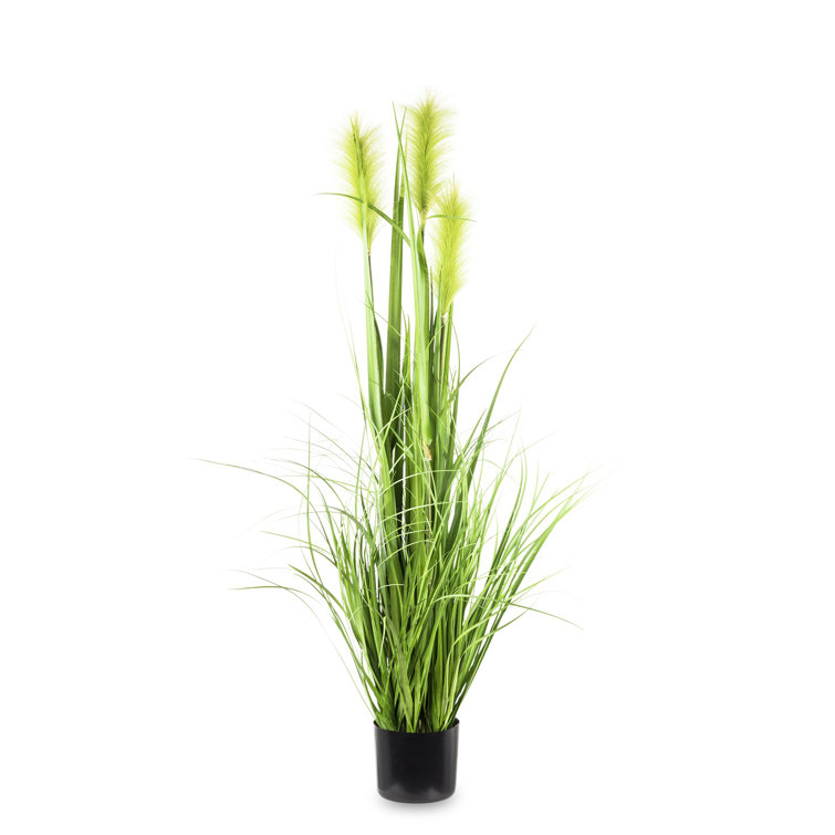 The Seasonal Aisle 122Cm Artificial Pampas Grass in Pot Wayfair.co.uk